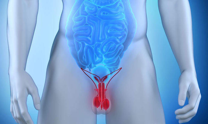 Urinary urgency should use Xenoprost